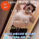 렛츠고동네점핑다이어트