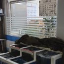 연산로 | [목포 북항 횟집 추천] 청어랑_해산물/회한상 현지인맛집