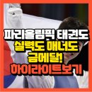 국가대표 태권도 금메달도장 이미지