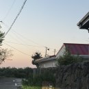 무릉리 그집 이미지