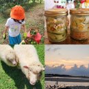 용암1농장 이미지