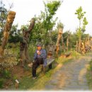 중앙고속도로 단양휴게소.. 이미지