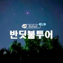 반딧불 | 보홀 반딧불투어 보홀트래블 내돈내산 후기