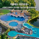 에코랜드수영장 이미지
