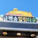 유시에스피