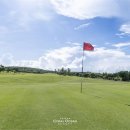 오션약국 이미지