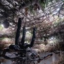 아트선재센터 이미지