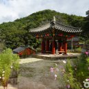 경산 - 47194 | 경산