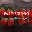 동빈농장 이미지