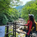 2025년8월17일 (셋째주 일요일)칠선계곡 (함양) 이미지