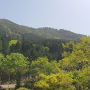 사천케이블카자연휴양림(사천) 이미지