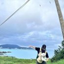 행복한 나들이 이미지