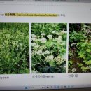 혜인당중국한의원 이미지