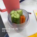 스위치온 1주차 후기: 단백질 쉐이크 배탈 극복 / 플라이밀 쉐이크 5가지 맛 후기 (초코 | 브라운...