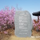 부여꽃 이미지
