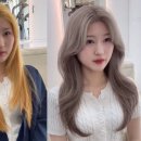 티움헤어 - 영광군 물무로2길 29-1 | 티움헤어