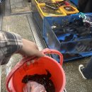 의성횟집 | 부산, 광안리 횟집 민락회타운 내돈내산 솔직후기 [의성상회&amp;왕뻐꾹횟집]