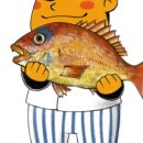 미미참치 이미지