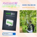 아라풍천민물장어 이미지