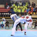 한국태권도체육관 이미지