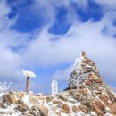 불국체육관 이미지