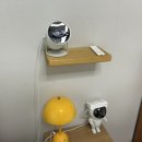 그린나무영월 이미지