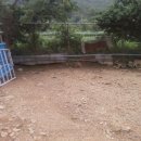 형제사슴목장 이미지