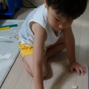 참사이언스 이미지