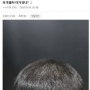 헤어갤러리 이미지
