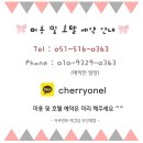 사쿠란보애견샵 부산대점 이미지