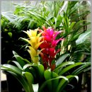 금강공원4 이미지