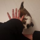 GS25 간석오거리 이미지