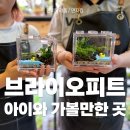 브라이오피트갤러리