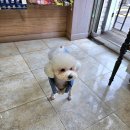 행신동물병원 이미지