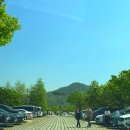 거창군삶의쉼터 | 거창 창포원 꽃잔디 만개 | 경남 5월 가볼 만한 곳 솔직 후기