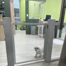 포비숑 네이버블로그