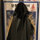 달동산오징어