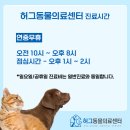 허그동물의료센터 이미지