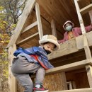 새자연어린이집 이미지