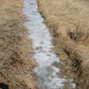 봉의목장 이미지