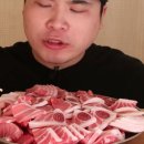 환상참치 이미지