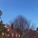 좋은날아카데미 이미지