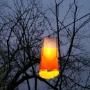 안산벚꽃음악회 이미지