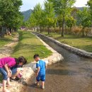 정읍시 내장산국민여가 캠핑장 이미지
