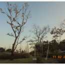 매향리 평화생태공원 이미지