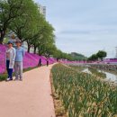 양지천3 이미지