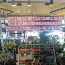 엘림플라워 - 서초구 강남대로 27 | [신정네거리]엘림플라워 방문 후기 – 꽃다발 구매🌸