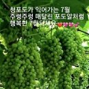복산천 이미지