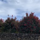 하천리-4 이미지