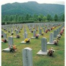 충북 옥천 분묘이장 장묘개발 납골묘 창대장묘개발
